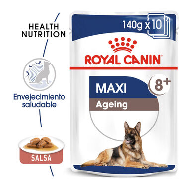 Royal Canin Maxi Ageing saqueta em molho para cães